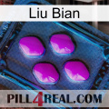 Liu Bian 04